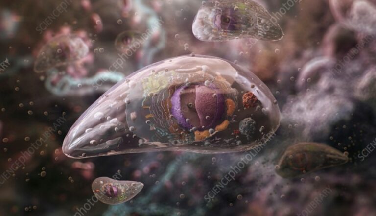 The Deep End: Why Some Intimate Patterns Can Induce a Loop of Chronic Illness